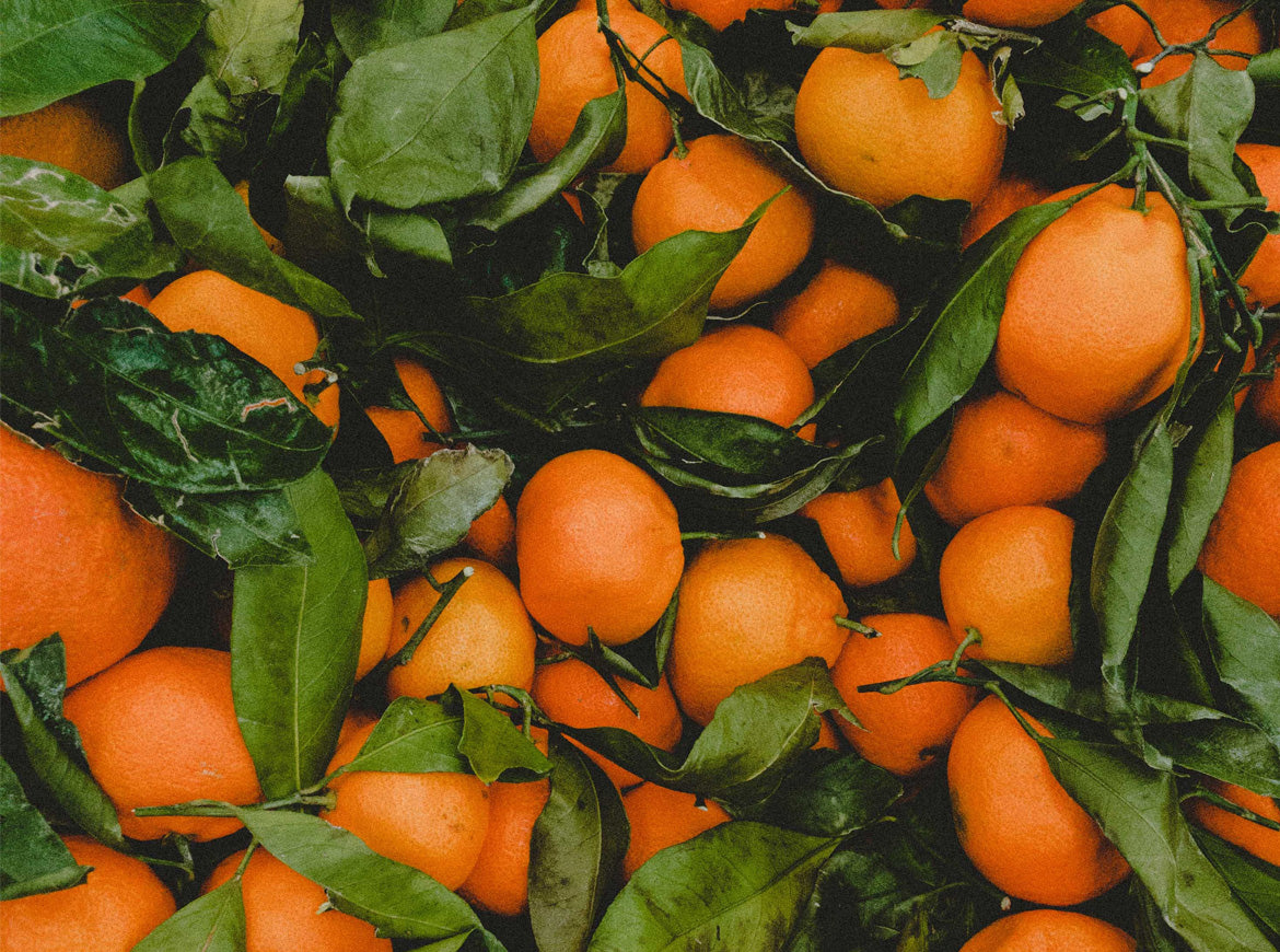 To take a trivial example, which of us ever undertakes