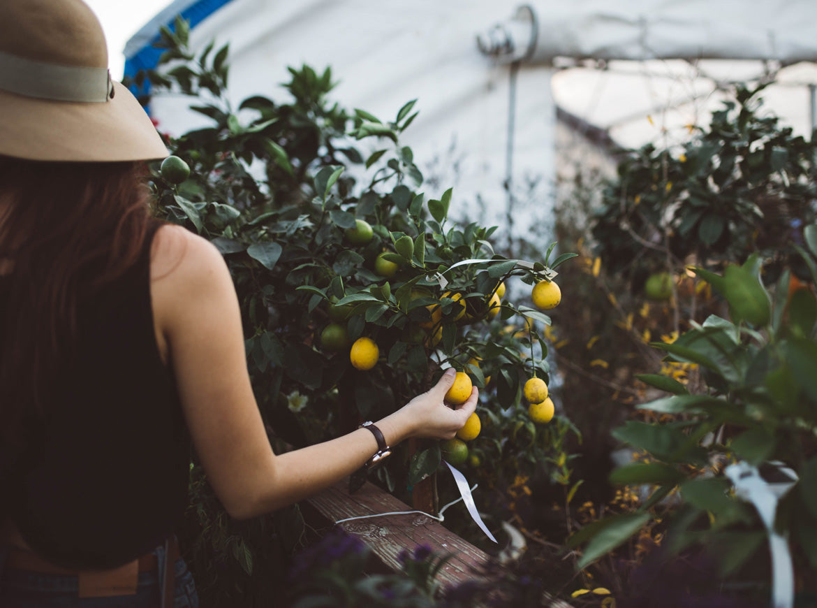 Nam libero tempore, cum soluta nobis est eligendi