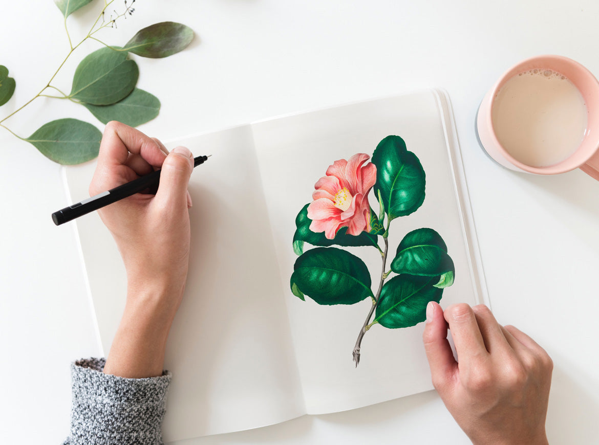 Nor again is there anyone who loves or pursues